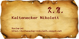 Kaltenecker Nikolett névjegykártya